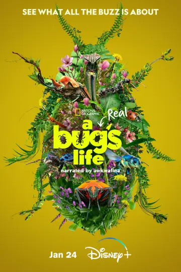 Poster for the TV series "A Real Bug