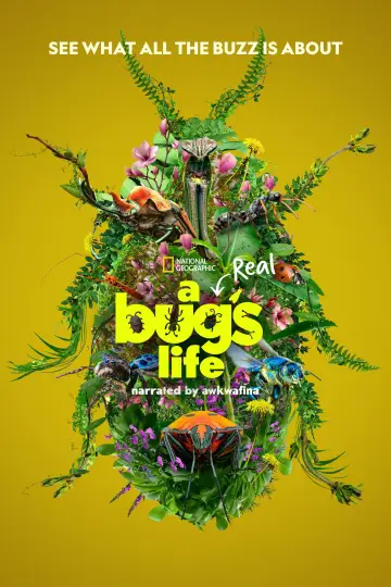 Poster for the TV series "A Real Bug