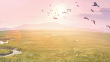 Backdrop к сериалу "Planet Earth III" #1485038