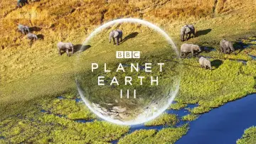 Backdrop к сериалу "Planet Earth III" #1485042