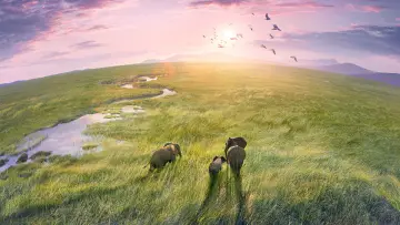 Backdrop к сериалу "Planet Earth III" #1485047