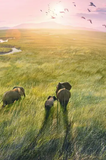 Poster к сериалу "Planet Earth III" #1485063