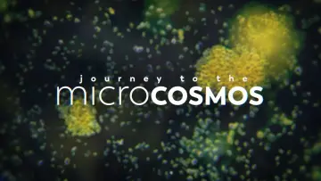 Backdrop for the TV series "Journey to the Microcosmos" #1562695