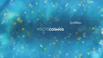 Backdrop for the TV series "Journey to the Microcosmos" #1562698