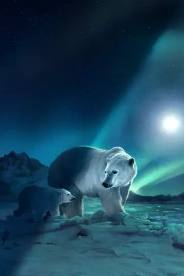 Poster for the TV series "Earth at Night in Colour" #1417643