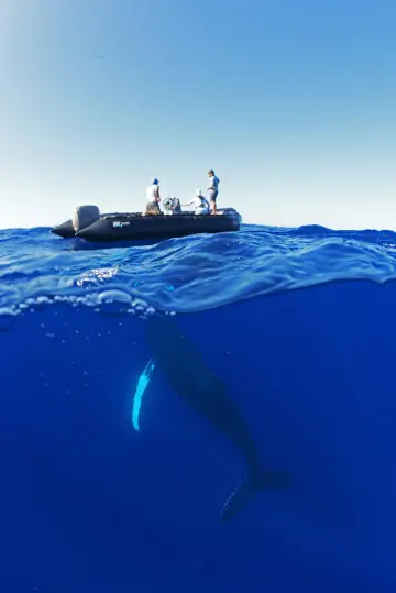 Poster for the TV series "OceanXplorers" #1562689