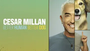 Backdrop for the TV series "Cesar Millan: Better Human, Better Dog" #1488565