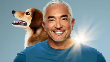 Backdrop for the TV series "Cesar Millan: Better Human, Better Dog" #1488566