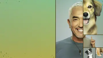 Backdrop for the TV series "Cesar Millan: Better Human, Better Dog" #1488567