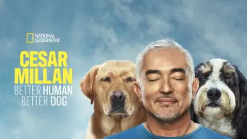 Backdrop for the TV series "Cesar Millan: Better Human, Better Dog" #1488570