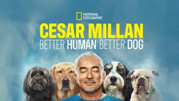 Backdrop for the TV series "Cesar Millan: Better Human, Better Dog" #1488571