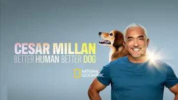 Backdrop for the TV series "Cesar Millan: Better Human, Better Dog" #1488573