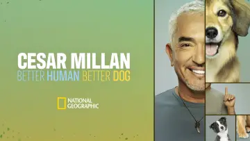 Backdrop for the TV series "Cesar Millan: Better Human, Better Dog" #1488574