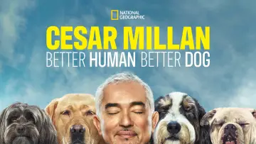 Backdrop for the TV series "Cesar Millan: Better Human, Better Dog" #1488575