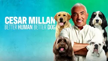 Backdrop for the TV series "Cesar Millan: Better Human, Better Dog" #1488577