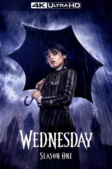 Poster for the TV series "Wednesday" #1518945