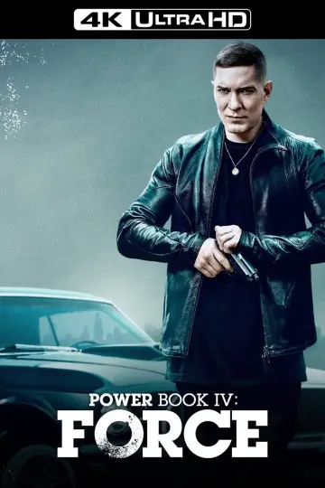 Poster for the TV series "Power Book IV: Force" #1399196