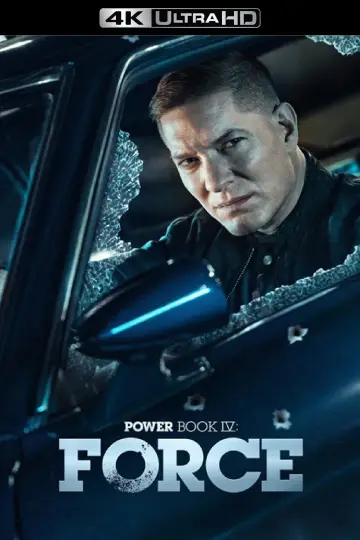 Poster for the TV series "Power Book IV: Force" #1399200