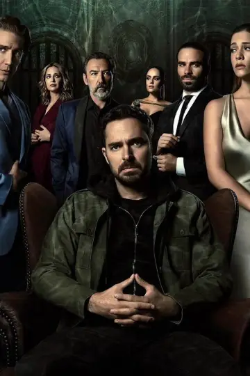 Poster for the TV series "Who Killed Sara?" #1443549