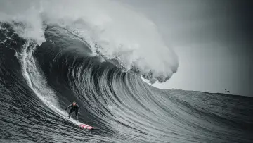 Backdrop for the TV series "100 Foot Wave" #1502551