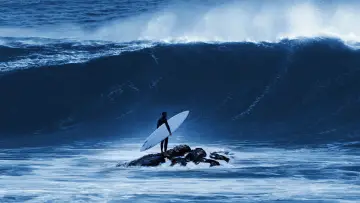 Backdrop for the TV series "100 Foot Wave" #1502554