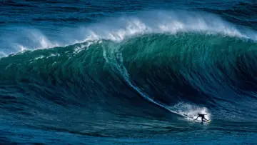 Backdrop for the TV series "100 Foot Wave" #1502558