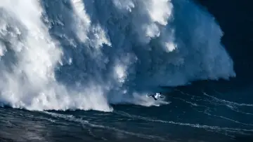 Backdrop for the TV series "100 Foot Wave" #1502566