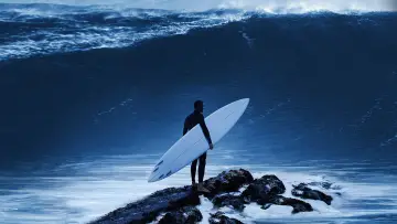 Backdrop for the TV series "100 Foot Wave" #1502567