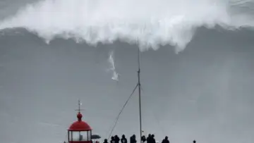 Backdrop for the TV series "100 Foot Wave" #1502568