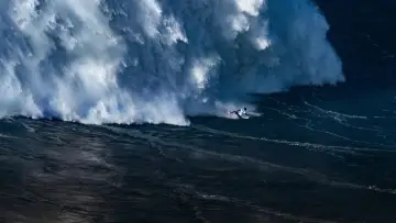 Backdrop for the TV series "100 Foot Wave" #1502569