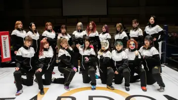 Backdrop for the TV series "Stardom on Stardom World" #1219094