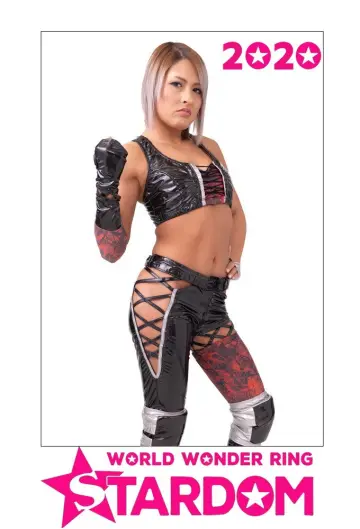 Poster for the TV series "Stardom on Stardom World" #1247374