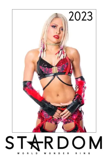 Poster for the TV series "Stardom on Stardom World" #1247389