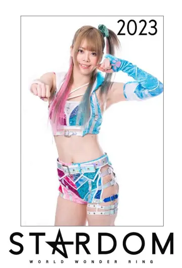 Poster for the TV series "Stardom on Stardom World" #1247393