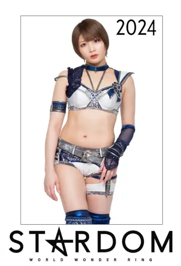 Poster for the TV series "Stardom on Stardom World" #1247399