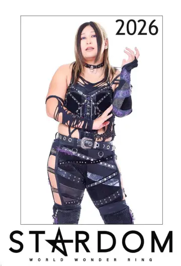 Poster for the TV series "Stardom on Stardom World" #1247419