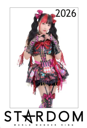 Poster for the TV series "Stardom on Stardom World" #1247425