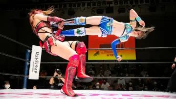 Backdrop for the TV series "World Wonder Ring Stardom" #1535964