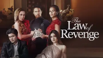 The Law of Revenge poster