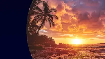 Backdrop for the TV series "NCIS: Hawaiʻi" #1357635