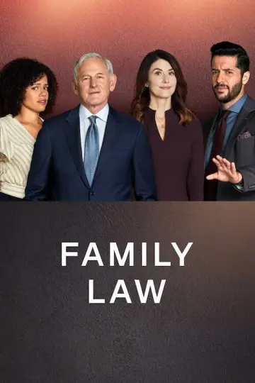 Poster for the TV series "Family Law" #1395600