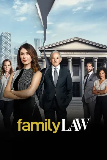 Poster for the TV series "Family Law" #1395602