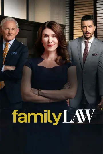 Poster for the TV series "Family Law" #1395603