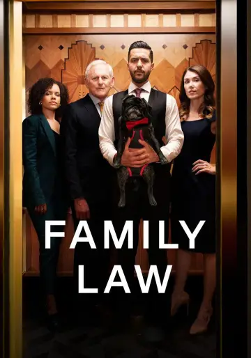 Poster for the TV series "Family Law" #1395606