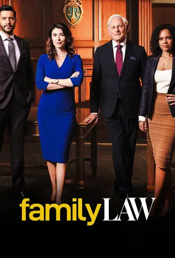 Poster for the TV series "Family Law" #1395607
