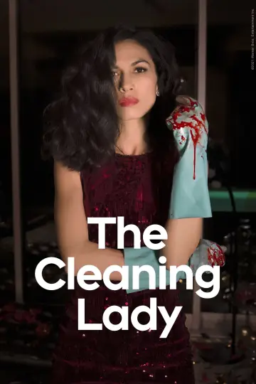 Poster for the TV series "The Cleaning Lady" #1299802
