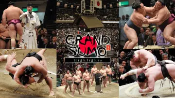 Backdrop for the TV series "GRAND SUMO Highlights" #1511298