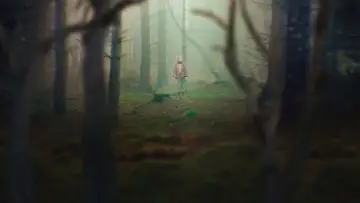 Backdrop for the TV series "The Chestnut Man" #1383792