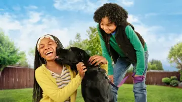 Backdrop for the TV series "Puppy Place" #1430268