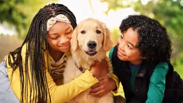 Backdrop for the TV series "Puppy Place" #1430269
